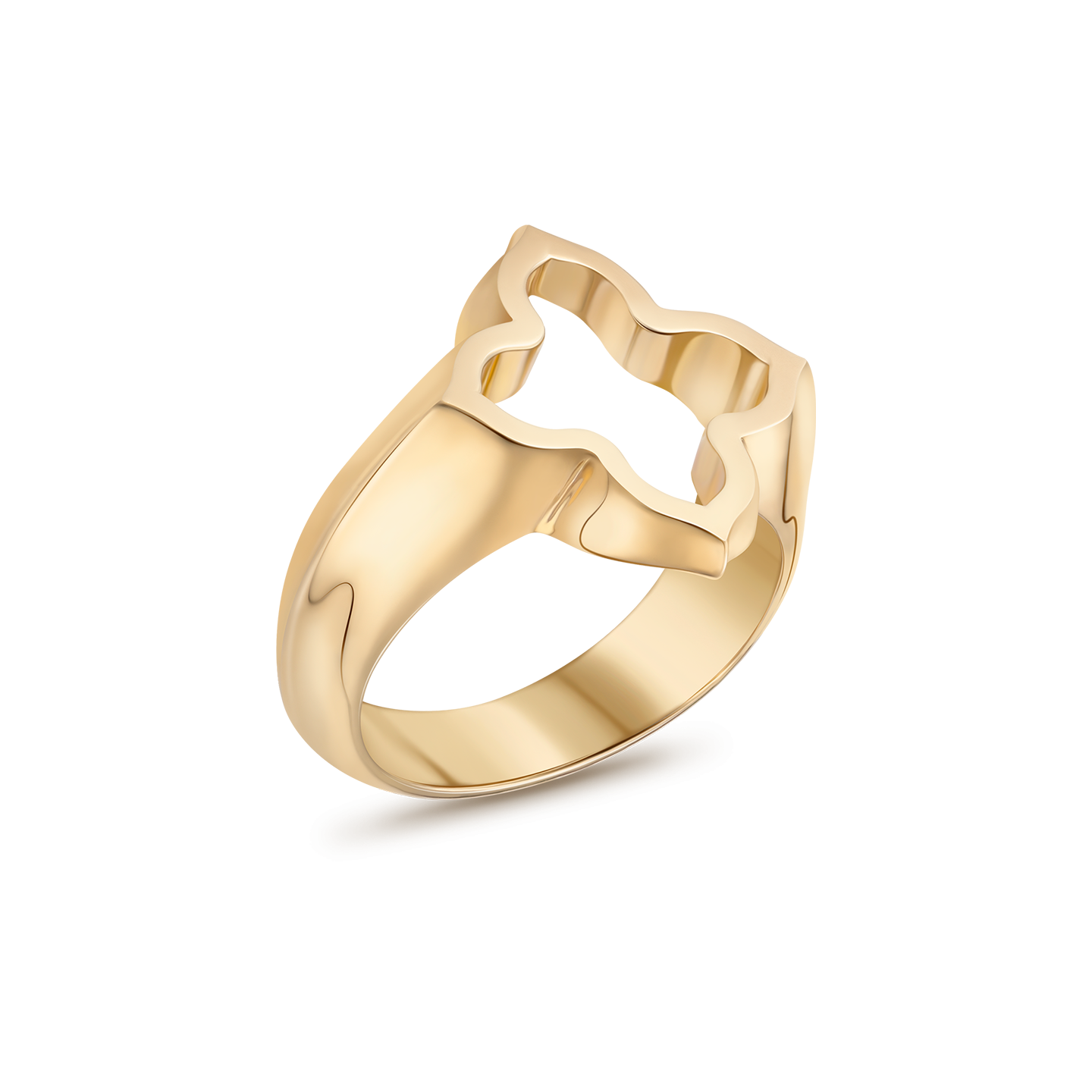 Silhouette Ring 3
